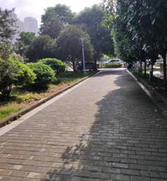 8351aac64f13a19e8bbd386ede0c82a