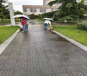 e0b59a1d75b3d8211355bbaae212ea5